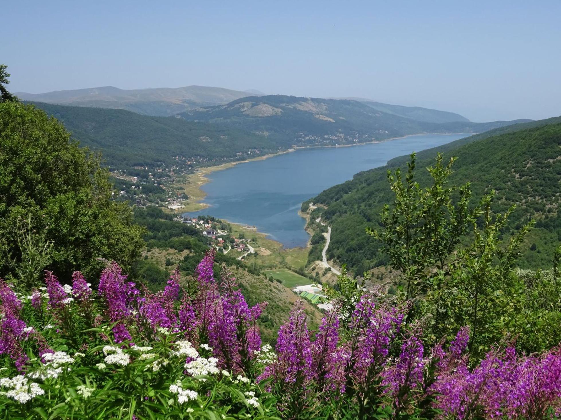 Forest View Apartment Маврово Екстериор снимка