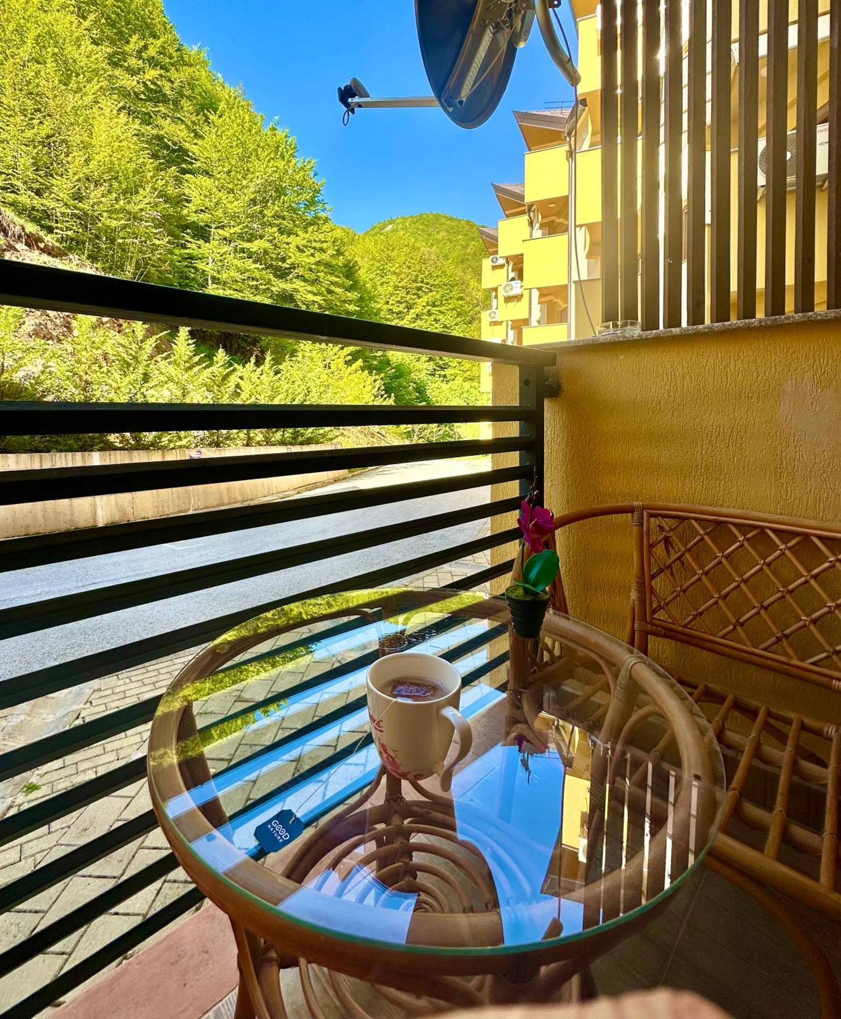 Forest View Apartment Маврово Екстериор снимка