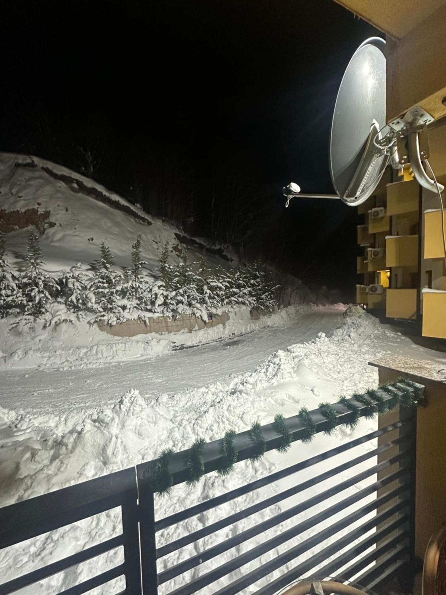Forest View Apartment Маврово Екстериор снимка